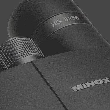 Ammunition Collection